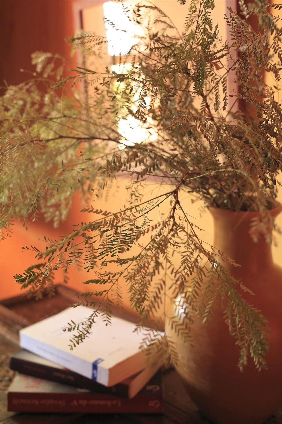 Le Jardin Des Douars Bed & Breakfast Ghazoua Exterior photo